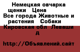 Немецкая овчарка щенки › Цена ­ 20 000 - Все города Животные и растения » Собаки   . Кировская обл.,Леваши д.